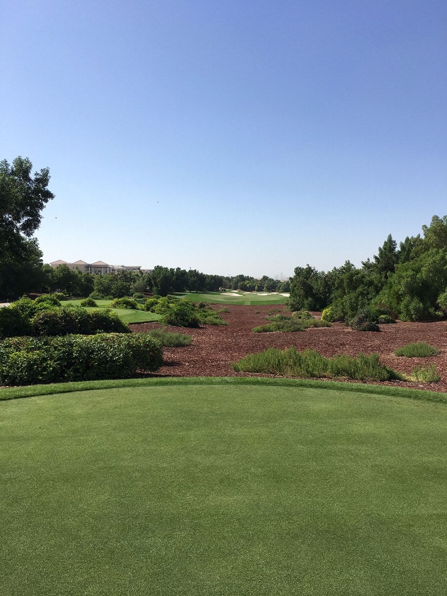 The view down the first hole on the Earth Course.